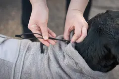 Drying Coat