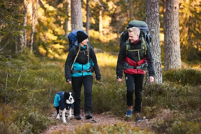 Glacier jacket 2.0 Navy/Teal/Red 60 