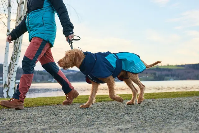 Glacier jacket 2.0 Navy/Teal/Red 60 