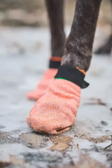 Protector light socks L 