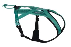 Rush harness 1
