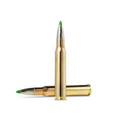 Norma Ecostrike 30-06 165gr / 10,7g Blyfri Kobberkule