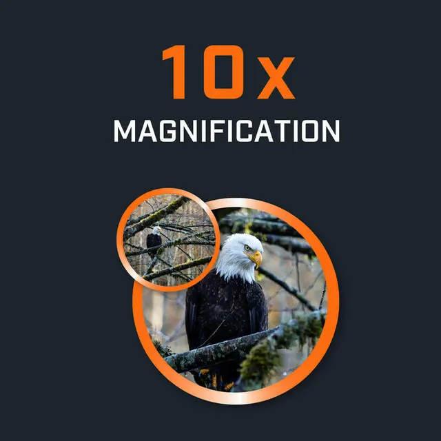 Bushnell H2O Dark Blue 10 x 25 