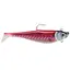 BISCAY GIANT JIGGING RCW 
