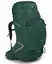 Osprey Aether Plus 85L L/XL Axo Green 