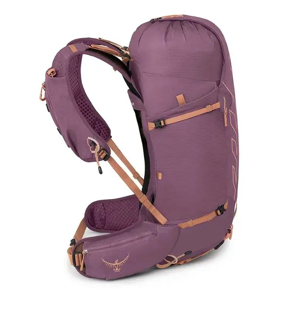 Tempest Velocity WXS/S Purple 