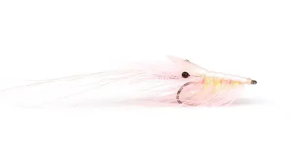 Rosa Ræka EK 8 