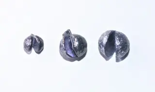 iFish Splitthagl Blyfri