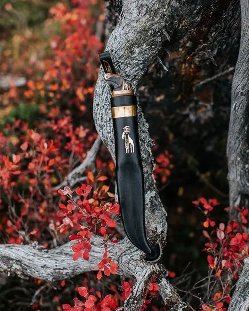 Moose Knife - 11cm blad Wooden Gift Box 